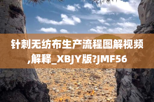 针刺无纺布生产流程图解视频,解释_XBJY版?JMF56