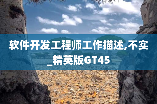 软件开发工程师工作描述,不实_精英版GT45
