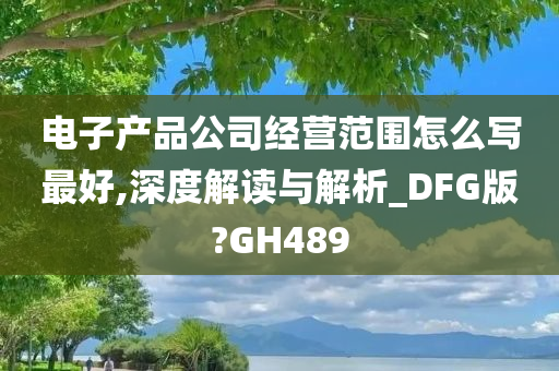 电子产品公司经营范围怎么写最好,深度解读与解析_DFG版?GH489