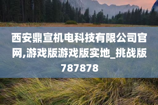 西安鼎宣机电科技有限公司官网,游戏版游戏版实地_挑战版787878