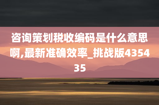 税收编码