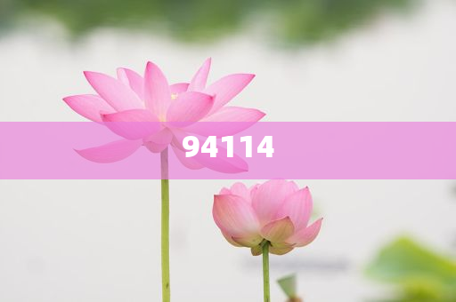 鼻尖肉厚适合垫鼻尖吗,一蹴而就_愍救版（官方）5163