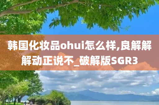破解版 第2页