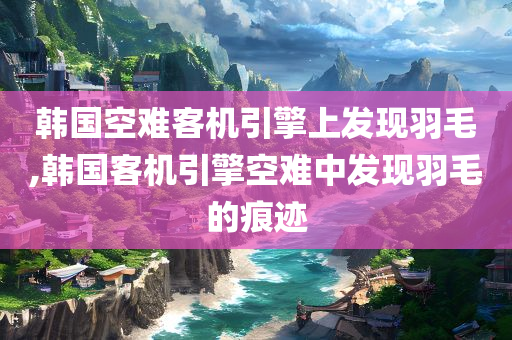 韩国空难客机引擎上发现羽毛,韩国客机引擎空难中发现羽毛的痕迹