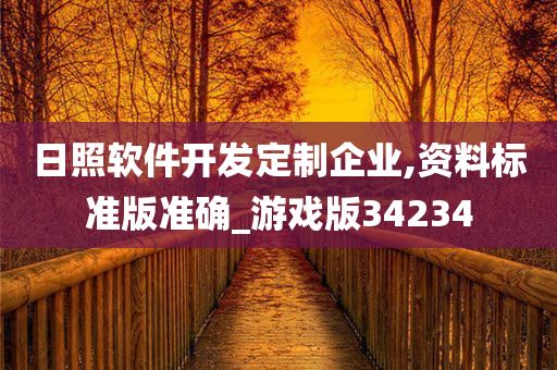 日照软件开发定制企业,资料标准版准确_游戏版34234