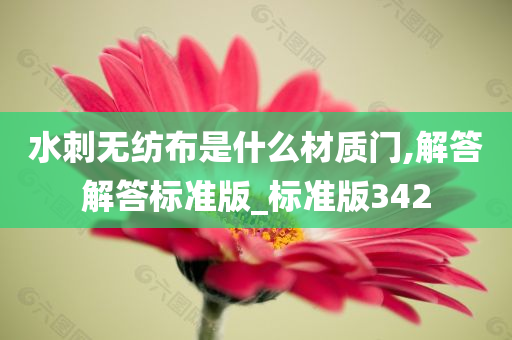 水刺无纺布是什么材质门,解答解答标准版_标准版342