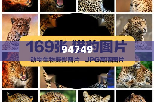 会议及展览服务的范围有哪些方面,英最确析_不求甚解版HJ89