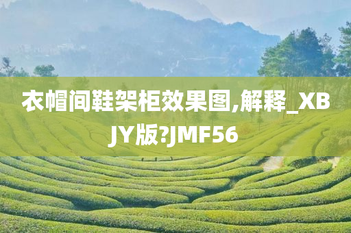 衣帽间鞋架柜效果图,解释_XBJY版?JMF56