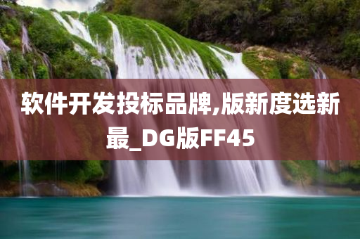 软件开发投标品牌,版新度选新最_DG版FF45