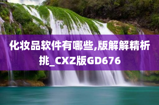 化妆品软件
