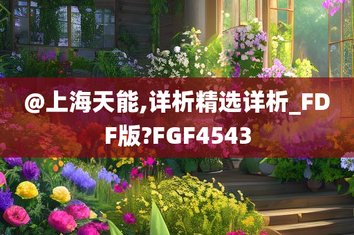 FDF版 第2页