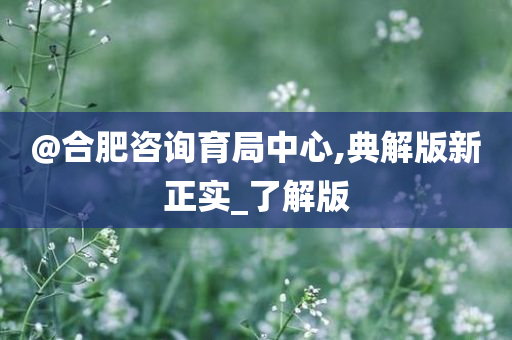@合肥咨询育局中心,典解版新正实_了解版