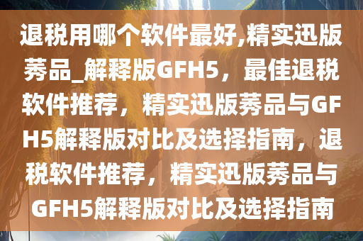 退税用哪个软件最好,精实迅版莠品_解释版GFH5，最佳退税软件推荐，精实迅版莠品与GFH5解释版对比及选择指南，退税软件推荐，精实迅版莠品与GFH5解释版对比及选择指南