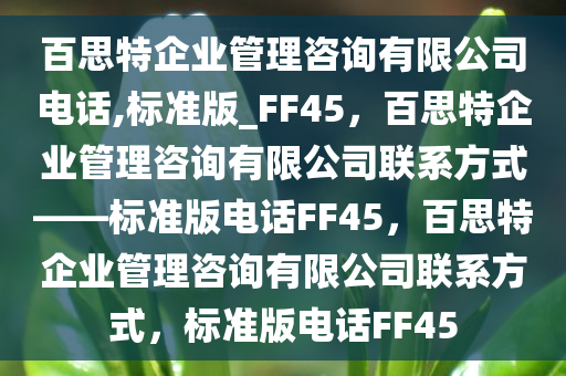 企业管理咨询