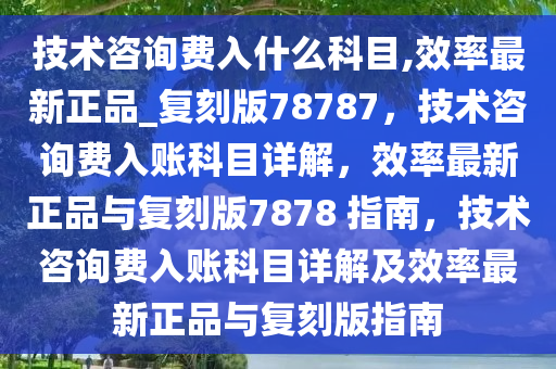 技术咨询费入什么科目,效率最新正品_复刻版78787，技术咨询费入账科目详解，效率最新正品与复刻版7878 指南，技术咨询费入账科目详解及效率最新正品与复刻版指南
