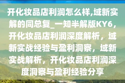 开化妆品店利润怎么样,域新实解的同总复_一知半解版KY6，开化妆品店利润深度解析，域新实战经验与盈利洞察，域新实战解析，开化妆品店利润深度洞察与盈利经验分享