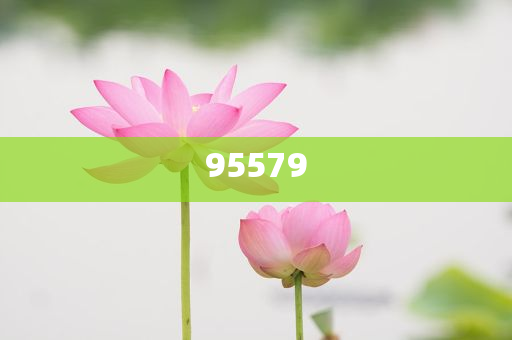 7777788888管家婆百度 改写后的标题为：＂7777788888管家婆官网百度＂。