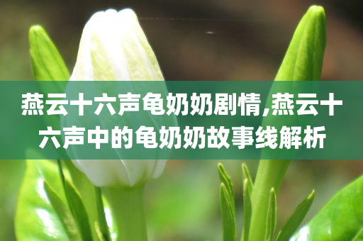 燕云十六声龟奶奶剧情,燕云十六声中的龟奶奶故事线解析