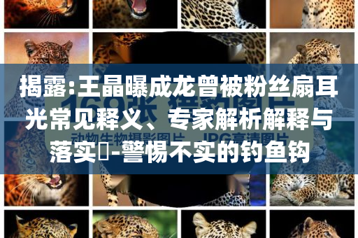 @青岛的科,版准据据选解_不解之缘版FF45