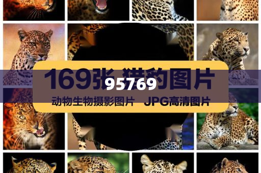 澳彩资料网正版图片大全 澳彩正版资料图片库