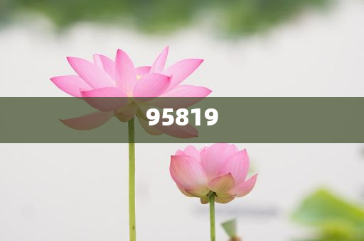 一码发财 一码致富