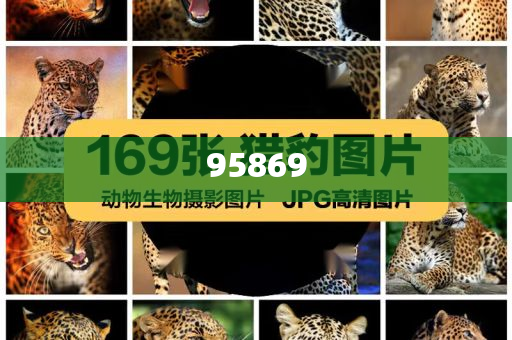 微博之夜倒计时3天,微博之夜盛大启幕倒计时三天！，微博之夜盛大启幕倒计时，3天狂欢即将开启！，微博之夜狂欢倒计时，3天盛宴即将开启！