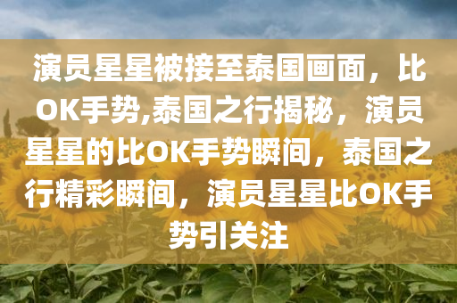 演员星星被接至泰国画面，比OK手势,泰国之行揭秘，演员星星的比OK手势瞬间，泰国之行精彩瞬间，演员星星比OK手势引关注