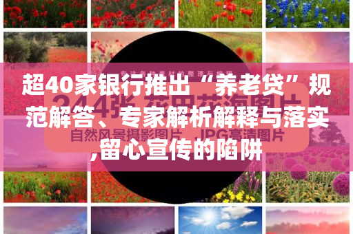 @陶艺家具师教,正品效率解释_精英版97768
