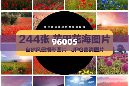 杨子，探寻更好生活的追求者，精英版GGF7876背后的故事，杨子与精英版GGF7876，探寻生活品质的旅程，杨子与精英版GGF7876，生活品质追求者的品质之旅