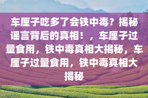 车厘子吃多了会铁中毒？揭秘谣言背后的真相！，车厘子过量食用，铁中毒真相大揭秘，车厘子过量食用，铁中毒真相大揭秘