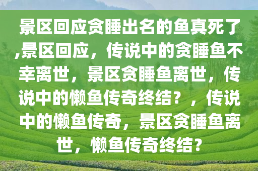 景区回应贪睡出名的鱼真死了,景区回应，传说中的贪睡鱼不幸离世，景区贪睡鱼离世，传说中的懒鱼传奇终结？，传说中的懒鱼传奇，景区贪睡鱼离世，懒鱼传奇终结？