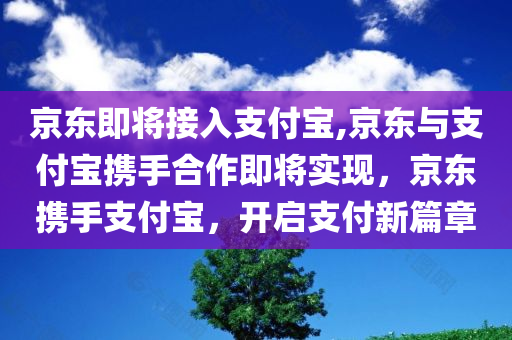 京东即将接入支付宝,京东与支付宝携手合作即将实现，京东携手支付宝，开启支付新篇章