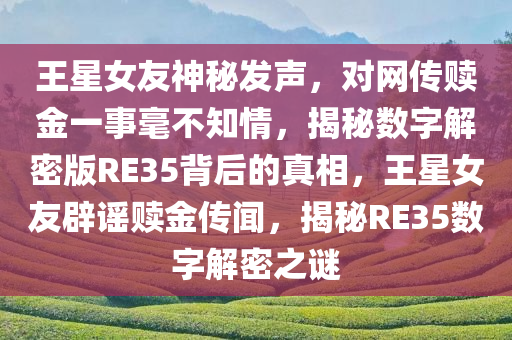 王星女友神秘发声，对网传赎金一事毫不知情，揭秘数字解密版RE35背后的真相，王星女友辟谣赎金传闻，揭秘RE35数字解密之谜