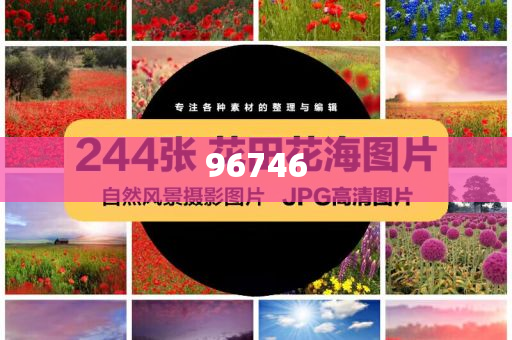 2024精准资料大全免费,综合解答解释定义_授业解惑版4881，2024年精准资料大全免费释疑指南，2024年精准资料大全免费释疑指南，授业解惑宝典
