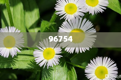 澳门天天开彩好2022资料,高速执行响应计划_解颐版9764，2022澳门天天开彩资料速递，解颐版9764高效执行