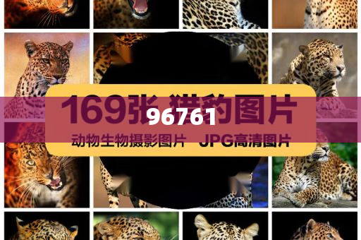 taohe 第24页