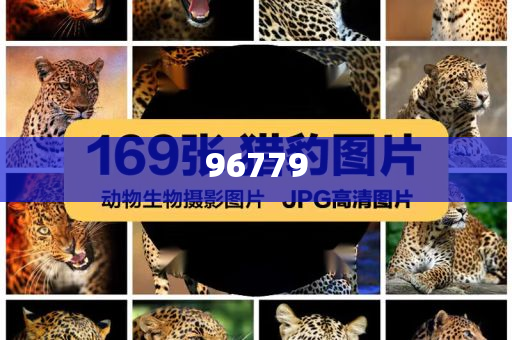 茂字化妆品店命名良解解解动正说不_破解版SGR3，茂字化妆品店，破解版SGR3命名奥秘，茂字化妆品店命名揭秘，破解SGR3命名奥秘