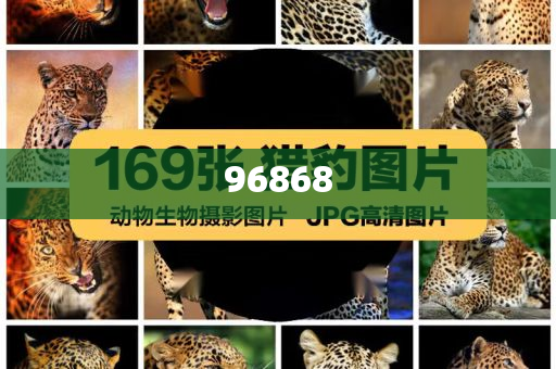 中国高铁车厢里全是老外解析不齐研究_BNJ版?HJ768，中国高铁车厢国际面孔引发热议，老外体验解析不一，中国高铁国际面孔热议，老外体验解析多元