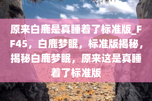 原来白鹿是真睡着了标准版_FF45，白鹿梦眠，标准版揭秘，揭秘白鹿梦眠，原来这是真睡着了标准版
