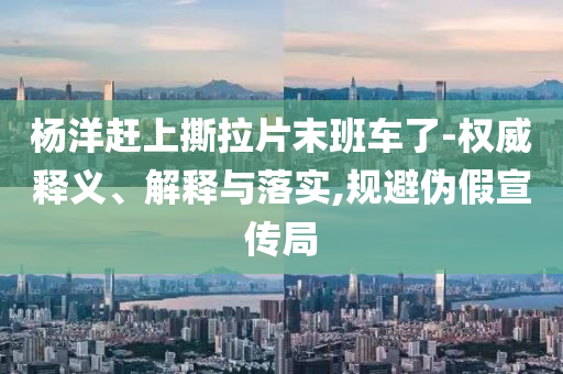 huamei 第107页
