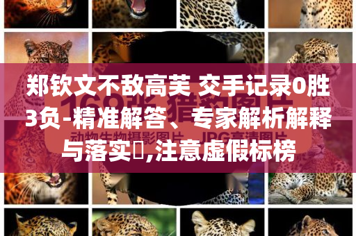 @家具保健技局,深度解读与解析_DFG版?GH489