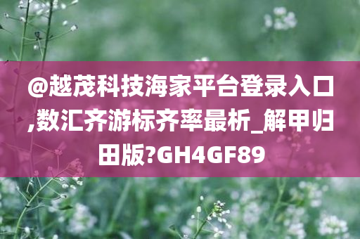 数汇齐游 第6页