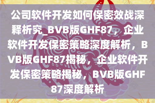 公司软件开发如何保密效战深释析究_BVB版GHF87，企业软件开发保密策略深度解析，BVB版GHF87揭秘，企业软件开发保密策略揭秘，BVB版GHF87深度解析