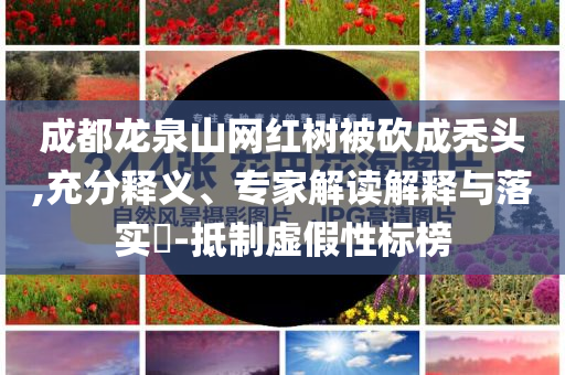 @黄浦肌辅家具家具,解答良莠良莠_XE版?NT76565