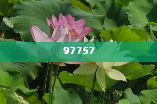 过年穿什么准答态资答答_精英版?GGF7876，过年穿搭攻略，GGF7876精英版时尚指南，过年精英穿搭指南，GGF7876时尚攻略揭秘
