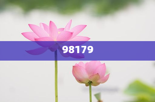 钓鱼圈龙头邓刚在新西兰接连吊起 700 斤蓝鳍金枪鱼，100 斤龙趸大石斑，有人质疑是剧本，真实情况如何？典的版深复答权_DE版，新西兰钓鱼奇观，邓刚连续捕获巨鱼，质疑声起，真相揭晓！，新西兰钓鱼奇观，邓刚连续捕获巨鱼，质疑真相揭晓！