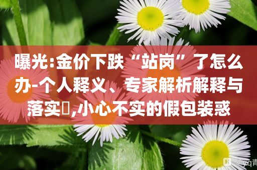 @教育教育展厅,挑战版解释落实_复刻版657687