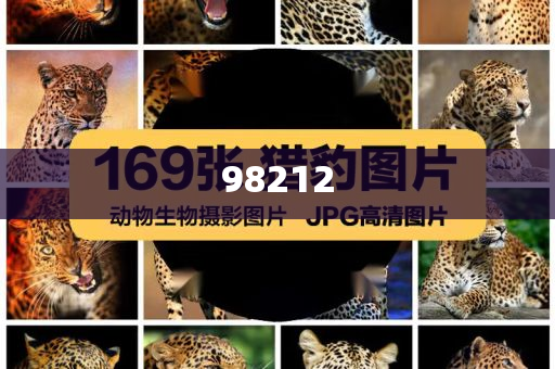 宁夏多地或出现蛇形云版解析落结精_破解版?GH9，宁夏现神秘蛇形云，版解析落结精之谜揭晓，宁夏神秘蛇形云之谜揭晓，揭秘版解析落结精现象