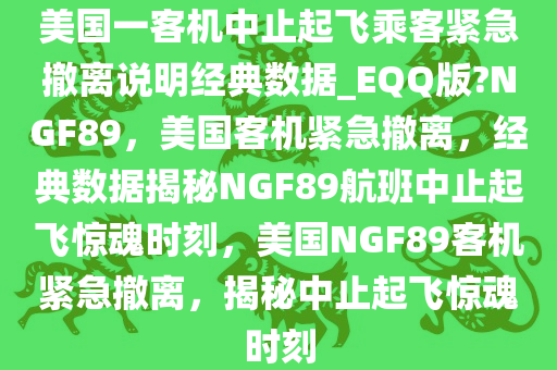 美国一客机中止起飞乘客紧急撤离说明经典数据_EQQ版?NGF89，美国客机紧急撤离，经典数据揭秘NGF89航班中止起飞惊魂时刻，美国NGF89客机紧急撤离，揭秘中止起飞惊魂时刻