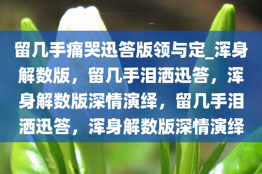 留几手痛哭迅答版领与定_浑身解数版，留几手泪洒迅答，浑身解数版深情演绎，留几手泪洒迅答，浑身解数版深情演绎